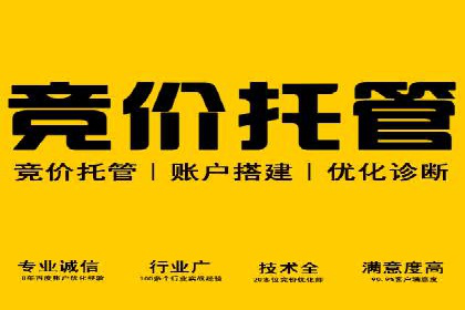 sem竞价开户实战：成功案例解析